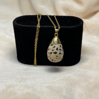 Marlies - Dalmantian Jasper