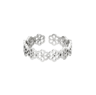 Daisy flowers - Zilver