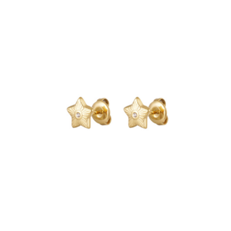  Stud Ster Zirkonia - Goud