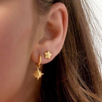  Stud Ster Zirkonia - Goud