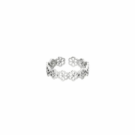 Daisy flowers - Zilver