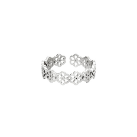 Daisy flowers - Zilver