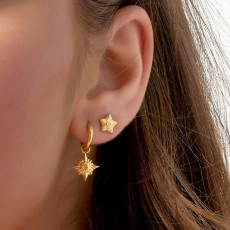  Stud Ster Zirkonia - Goud