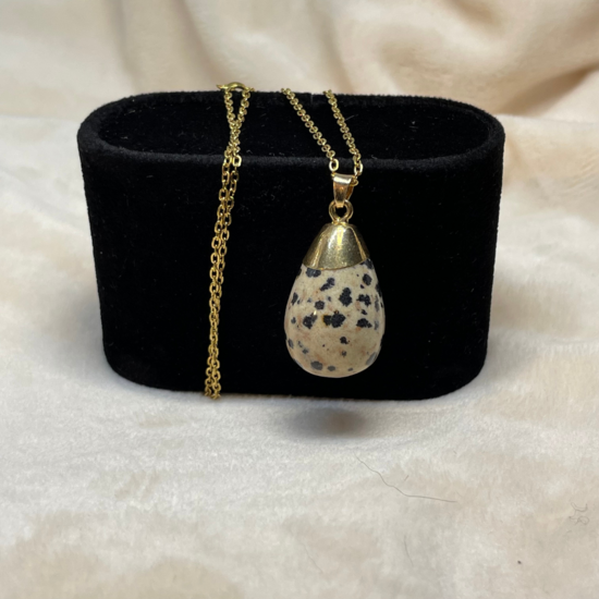 Marlies - Dalmantian Jasper